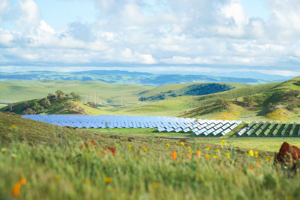 California_Flats_Solar-plus-Storage_Yellow_and_Orange_Flowers