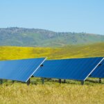 Solar panels in grass