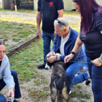 Kevin putting dog at animal shelter