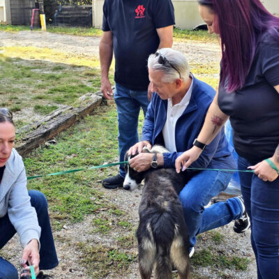 Kevin Animal Shelter Volunteering 2_edit